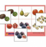 Лото "Фрукты, ягоды, орехи" (4 планшета, 24 карточки, цветное, ламинированное.) / артикул 10878 - ООО Александрит. 