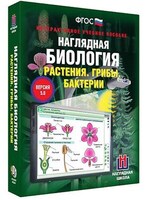 Интерактивное учебное пособие "Наглядная биология. 6 класс. Растения. Грибы. Бактерии" /арт. 13425 (Ст) - ООО Александрит.