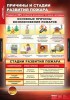 Таблицы демонстрационные "Пожарная безопасность" / артикул 6503 - ООО Александрит. 