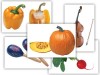 Набор предметных картинок "Овощи. Музыкальные инструменты" (48 шт., А4, с магнитами) / артикул 9629 - ООО Александрит. 
