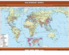 Учебная карта "Население мира" 100х140 см / артикул 8314 - ООО Александрит. 