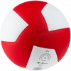 Мяч волейбольный GALA Pro-Line 12, FIVB, профессиональный, размер 5 /арт. BV5595S - ООО Александрит. 