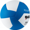 Мяч волейбольный GALA Pro-Line 12, FIVB, профессиональный, размер 5 /арт. BV5595S - ООО Александрит. 