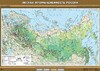 Учебн. карта "Лесная промышленность России" 100х140 /арт. 8278 (Ст) - ООО Александрит. 
