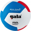 Мяч волейбольный GALA Pro-Line 12, FIVB, профессиональный, размер 5 /арт. BV5595S - ООО Александрит. 