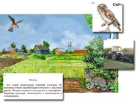 Магнитный плакат-аппликация "Поле: биоразнообразие и взаимосвязи в сообществе" / артикул 10094 - ООО Александрит. 