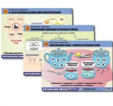 Комплект таблиц для нач. шк. "Русский язык. Орфография" (14 табл.. формат А1, лам.) / артикул 9593 - ООО Александрит. 