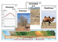 Модель-аппликация "Природные зоны" (ламинированная) /арт. 7606 (Ст) - ООО Александрит. 