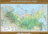 Учебн. карта "Лесная промышленность России" 100х140 /арт. 8278 (Ст) - ООО Александрит. 