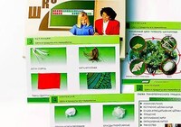 Коллекция "Шелк и продукты его переработки" (средн. шк.) /арт. 14172 (Ст) - ООО Александрит. 
