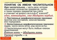 Таблицы демонстрационные "Русский язык. Числительное и местоимение" /арт. 6484 (Ст) - ООО Александрит. 