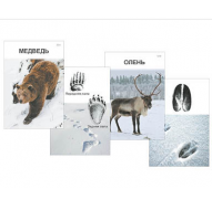 Комплект дидактических карточек "Следы на снегу" / артикул 16239 - ООО Александрит. 