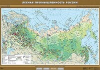 Учебн. карта "Лесная промышленность России" 100х140 /арт. 8278 (Ст) - ООО Александрит. 