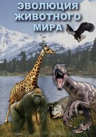Компакт-диск "Эволюция животного мира" (MP4) /арт. 7019 (Ст) - ООО Александрит. 