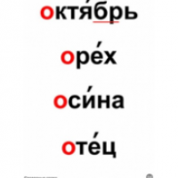 Набор таблиц "Словарные слова"/ артикул 6028 - ООО Александрит. 