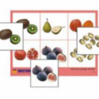 Лото "Фрукты, ягоды, орехи" (4 планшета, 24 карточки, цветное, ламинированное.) / артикул 10878 - ООО Александрит. 