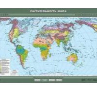 Учебная  карта "Растительность мира" 100х140 см / артикул 8230 - ООО Александрит. 