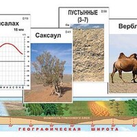 Модель-аппликация "Природные зоны" (ламинированная) /арт. 7606 (Ст) - ООО Александрит. 