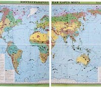 Учебная карта "Зоогеографическая карта Мира" (матовое, 2-стороннее лам.) /арт. 5548 (Ст) - ООО Александрит. 