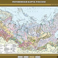Учебн. карта "Почвенная карта России" 100х140 /арт. 8282 (Ст) - ООО Александрит. 