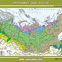 Учебн. карта "Природные зоны России" 100х140 /арт. 8212 (Ст) - ООО Александрит. 