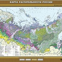 Учебн. карта "Растительность России" 100х140 /арт. 8270 (Ст) - ООО Александрит. 