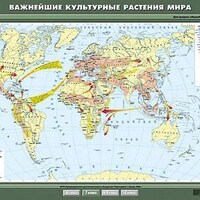 Учебн. карта "Важнейшие культурные растения мира" 100х140 /арт. 8231 (Ст) - ООО Александрит. 