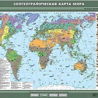 Учебн. карта "Зоогеографическая карта мира" 100х140 /арт. 8253 (Ст) - ООО Александрит. 