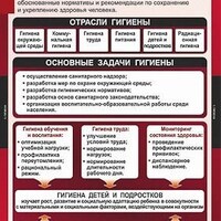 Таблицы демонстрационные "Гигиена" /арт. 8068 (Ст) - ООО Александрит. 