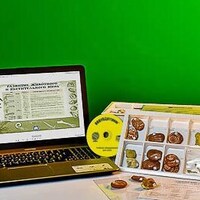 Коллекция натурально-интерактивная "Палеонтологическая" /арт. 13683 (Ст) - ООО Александрит. 