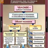 Таблицы демонстрационные "Обществознание 10-11 класс" /арт. 6419 (Ст) - ООО Александрит. 