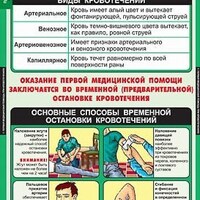 Таблицы демонстрационные "Правила оказания первой медицинской помощи" /арт. 6811 (Ст) - ООО Александрит. 