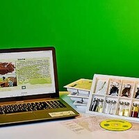 Коллекция натурально-интерактивная "Торф и продукты его переработки" /арт. 13707 (Ст) - ООО Александрит. 
