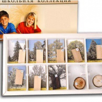 Коллекция "Древесные растения и их распространение" (раздаточная) /арт. 7745 (Ст) - ООО Александрит. 