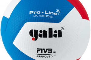 Мячи волейбольные Gala - ООО Александрит. 
